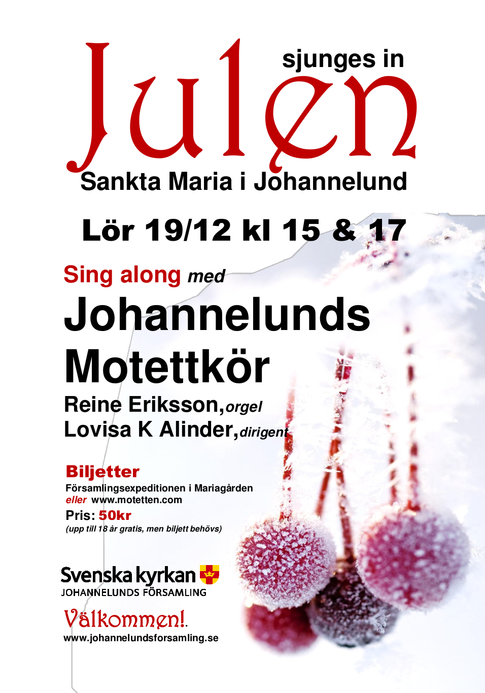 /static/images/affischer/151219-motetten-julen-sjunges-in.png
