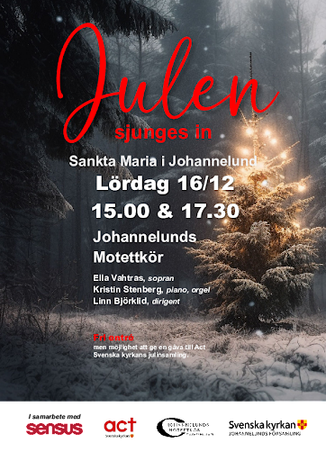 /static/images/affischer/231216-julen-sjunges-in.png